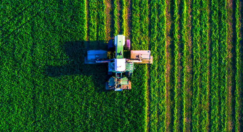 Decarbonization of Agriculture: The Greenhouse Gas Impacts and Economics of Existing and Emerging Climate-Smart Practices