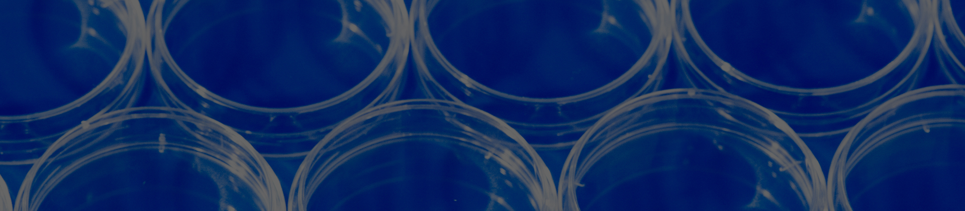 Accessing Health Care Sector Opportunities as Vaccine Hopes Grow