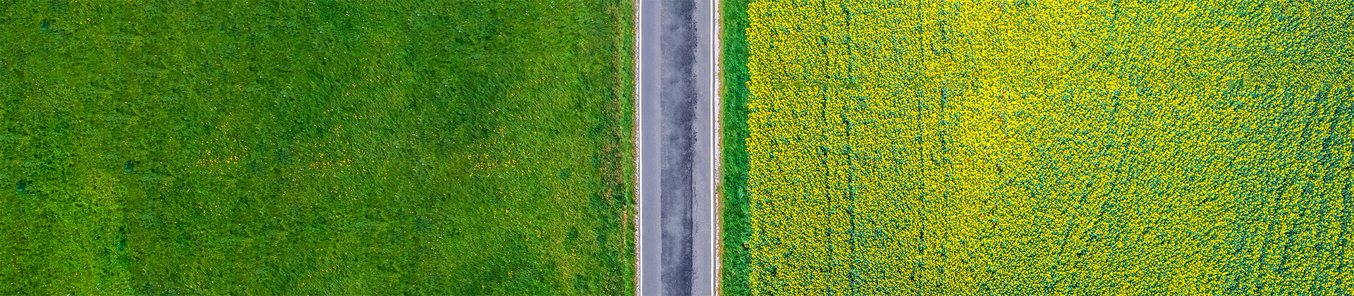 ESG Goes Mainstream in the Wake of 2020 Upheavals