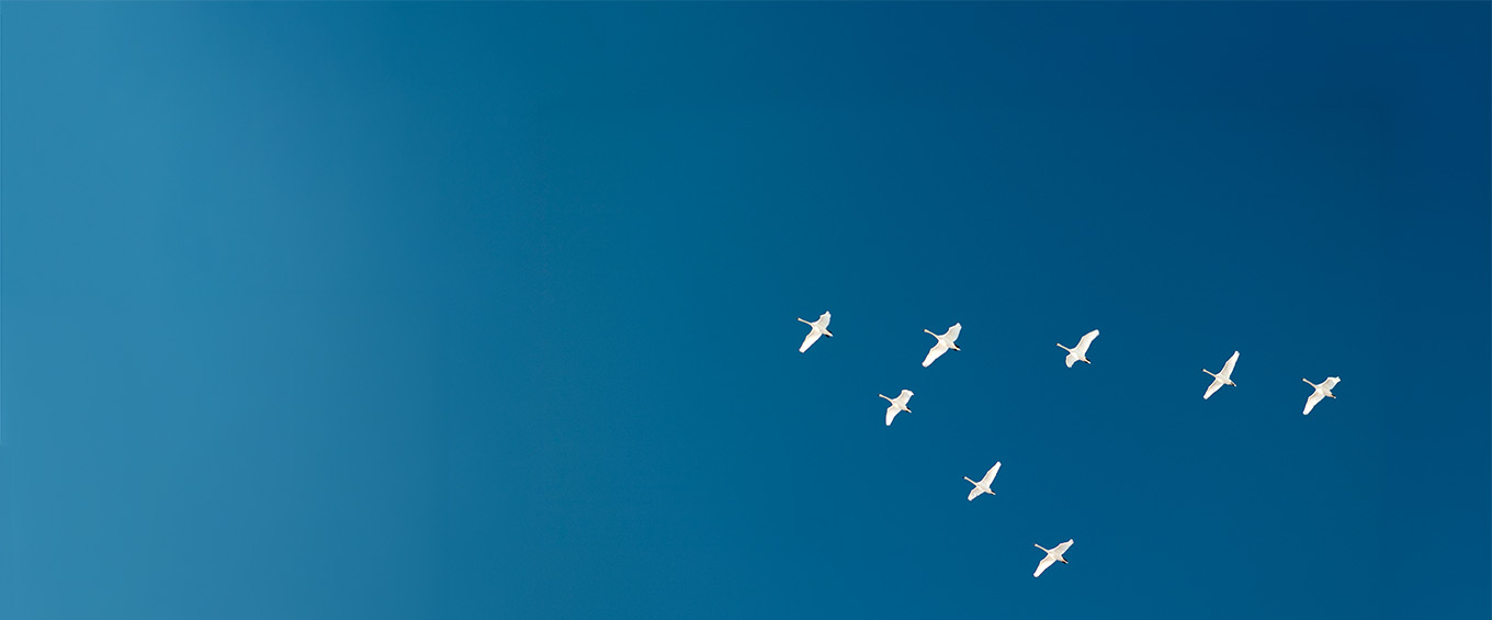 ARC Wealth Indices <br><h3>Bringing Transparency to Wealth Management Performance</br></h3>