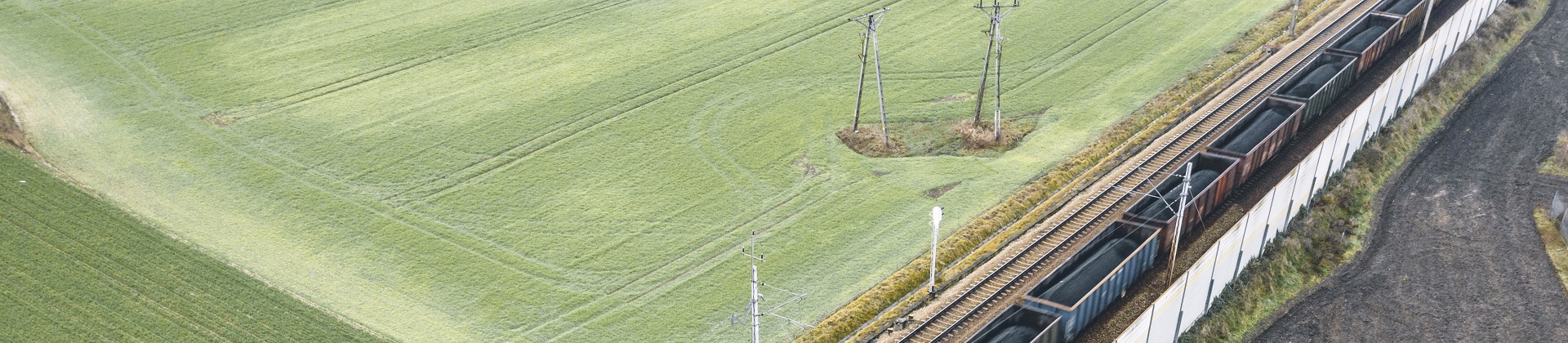 Has the Pandemic Turned the Commodity Markets Upside Down?