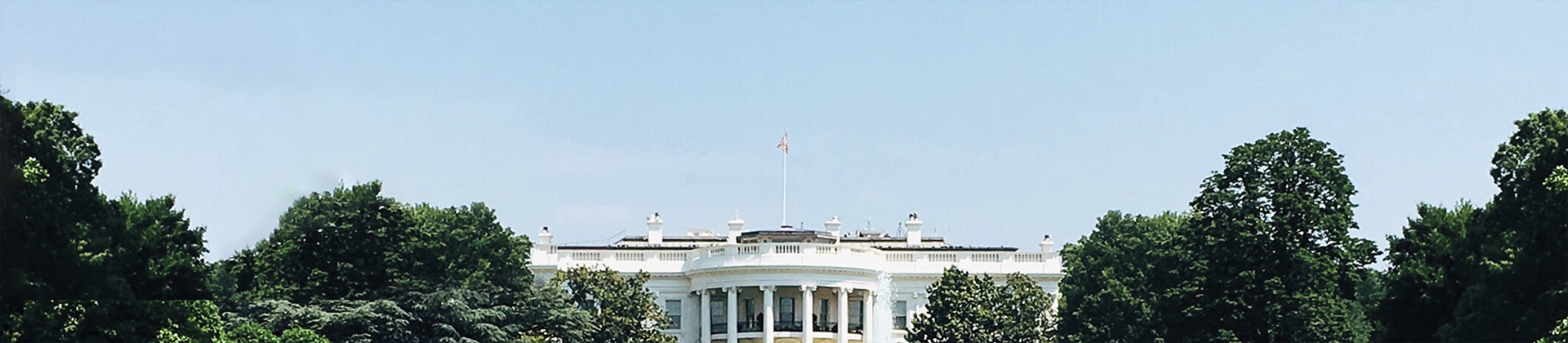 Discovering Election-Driven Sector Opportunities