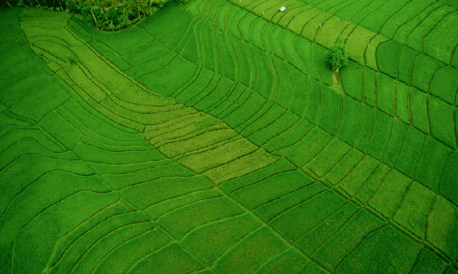 Applying Sustainability to Sector Indices_ALL Ex-Japan Asia