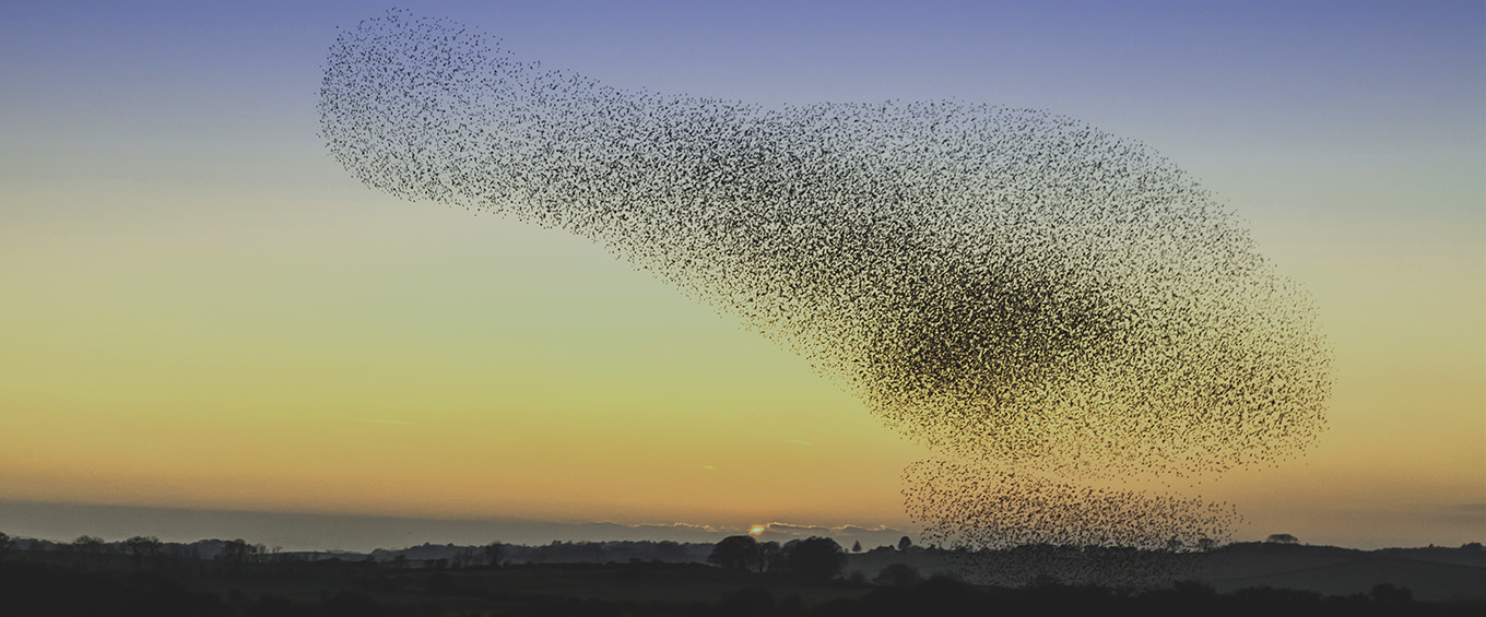 ARC Wealth Indices: Bringing Transparency to Wealth Management Performance