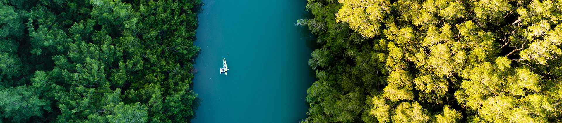 A New Era for ESG in Brazil