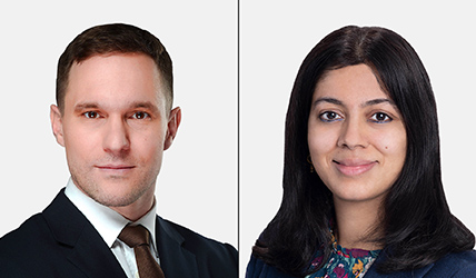 What’s the Role of Sectors and Factors in Concentrated Markets?