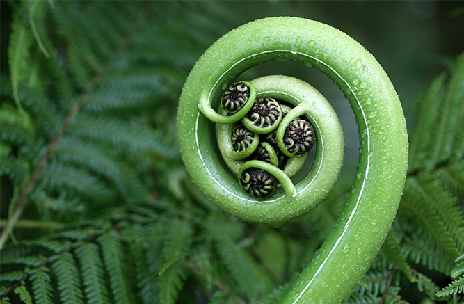 Content with side text