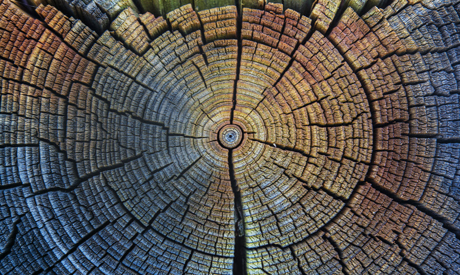 Blog: Powering the Future amid the AI Surge_JP