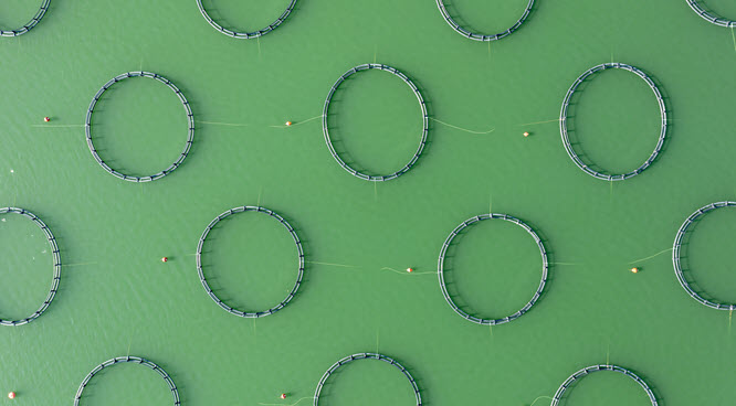 Cambridge Associates 투자 수준 벤치마크