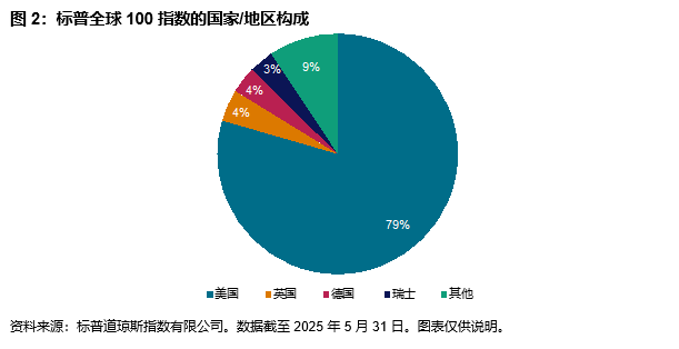 科技巨擎与全球领军者:深入解析标普全球 100 指数: 图 2
